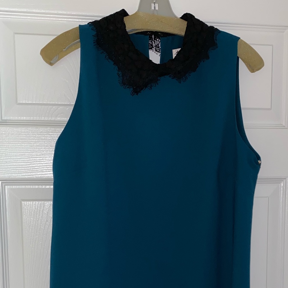 Lace collar dress